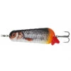 Cuiller Ondulante Abu Garcia Atom Pro 25g (Roach - 25g - 7,5cm) -Magasin De Matériel De Pêche cuiller ondulante abu garcia atom pro 25g roach 25g 75cm