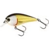 Poisson Nageur Westin Bassbite Squarebill 7cm (Official Roach) 1 Poisson Nageur Westin Bassbite Squarebill 7cm (Official Roach) -Magasin De Matériel De Pêche poisson nageur westin bassbite squarebill 7cm official roach